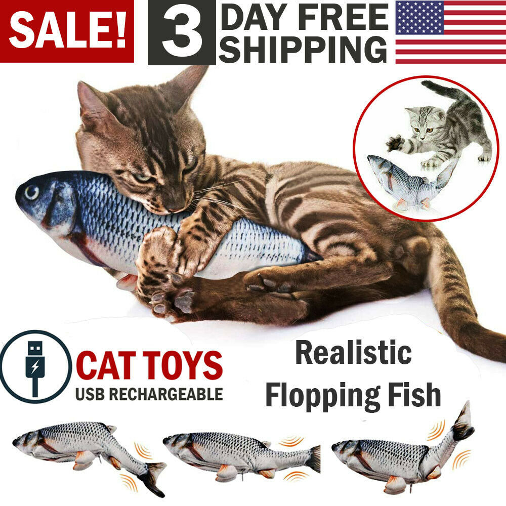 Interactive Electric Fish Cat Toy